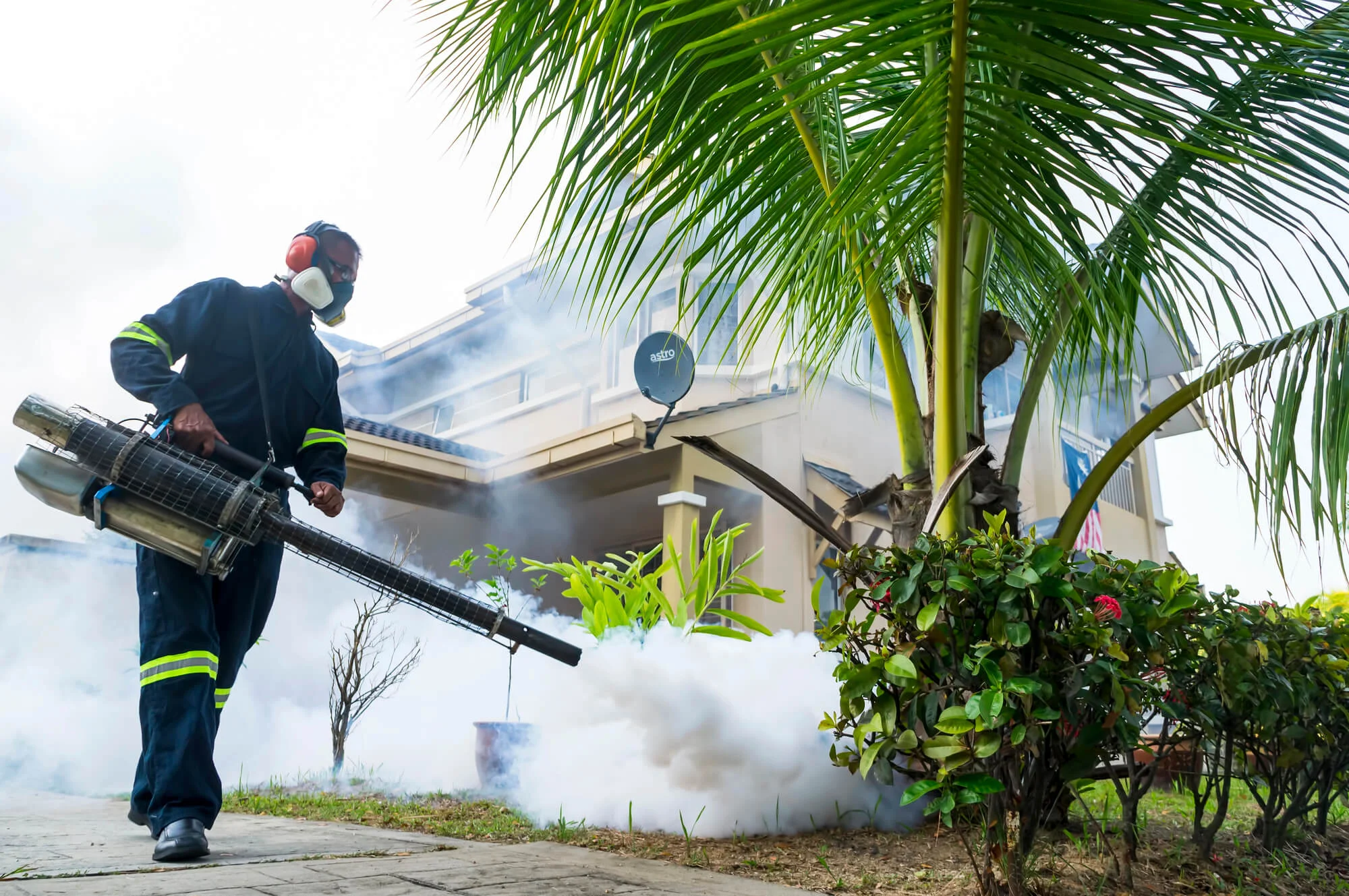 ongoing Mosquito Control in Boca Raton