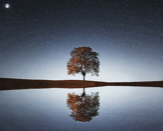A solitary tree with autumn foliage stands silhouetted against a starry night sky, with a full moon visible in the upper left corner. The tree is perfectly reflected in still water below, creating a mirror image. The sky transitions from deep blue at the top to lighter blue near the horizon, dotted with countless stars. The composition creates a serene, symmetrical scene with the tree as the central focal point between earth and sky.
