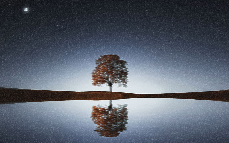 A solitary tree with autumn foliage stands silhouetted against a starry night sky, with a full moon visible in the upper left corner. The tree is perfectly reflected in still water below, creating a mirror image. The sky transitions from deep blue at the top to lighter blue near the horizon, dotted with countless stars. The composition creates a serene, symmetrical scene with the tree as the central focal point between earth and sky.