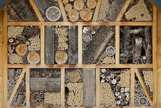 Bilde av et insektshotell