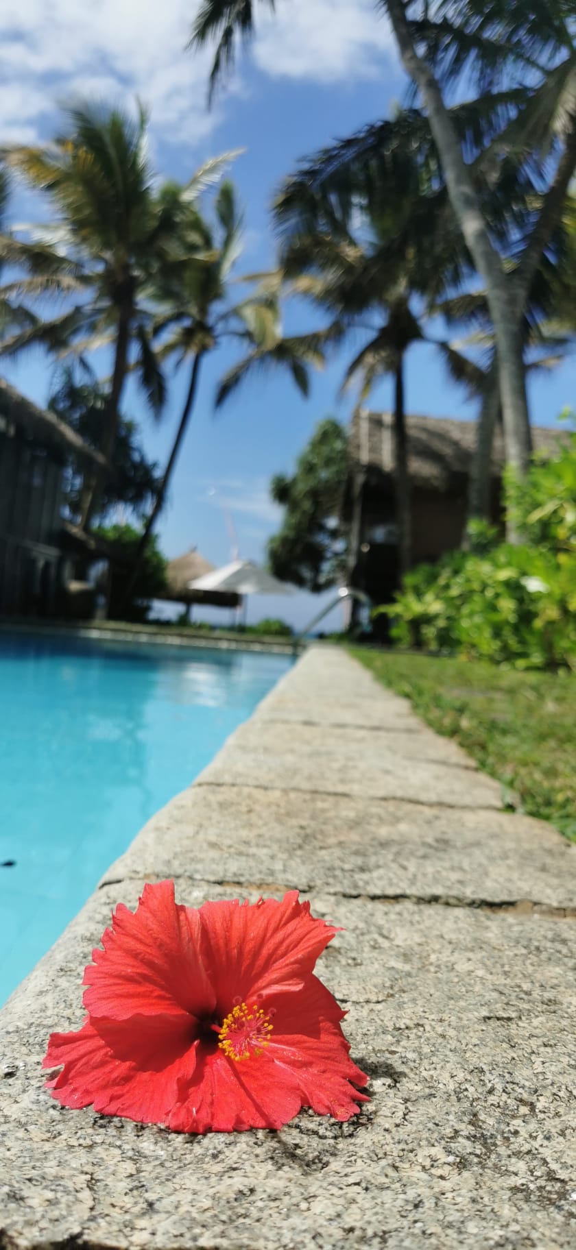 Ayurveda Shunyata Villa – Statue und Pool im Hintergrund