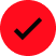 Red Check Icon
