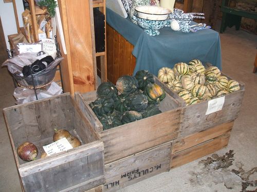 Assortment of Squash