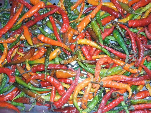 Red, Yellow and Green Peppers