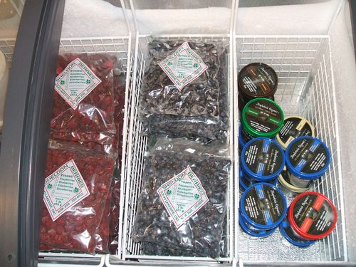 Frozen Fruits and Ice cream