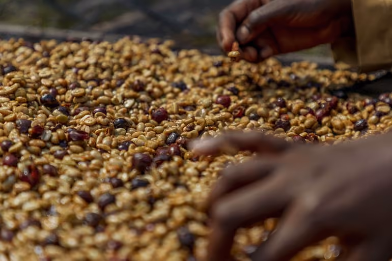 Rwanda coffee natural