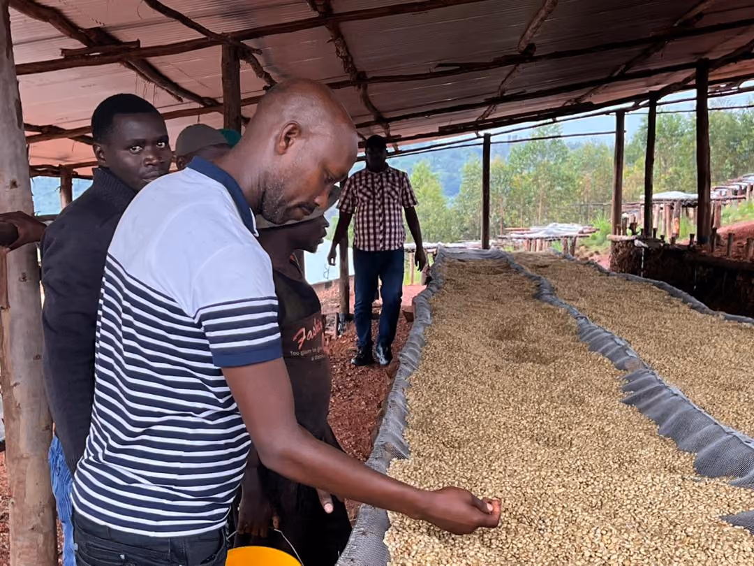 Complexities of Burundi’s coffee sector
