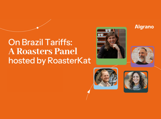 people sitting on chairs