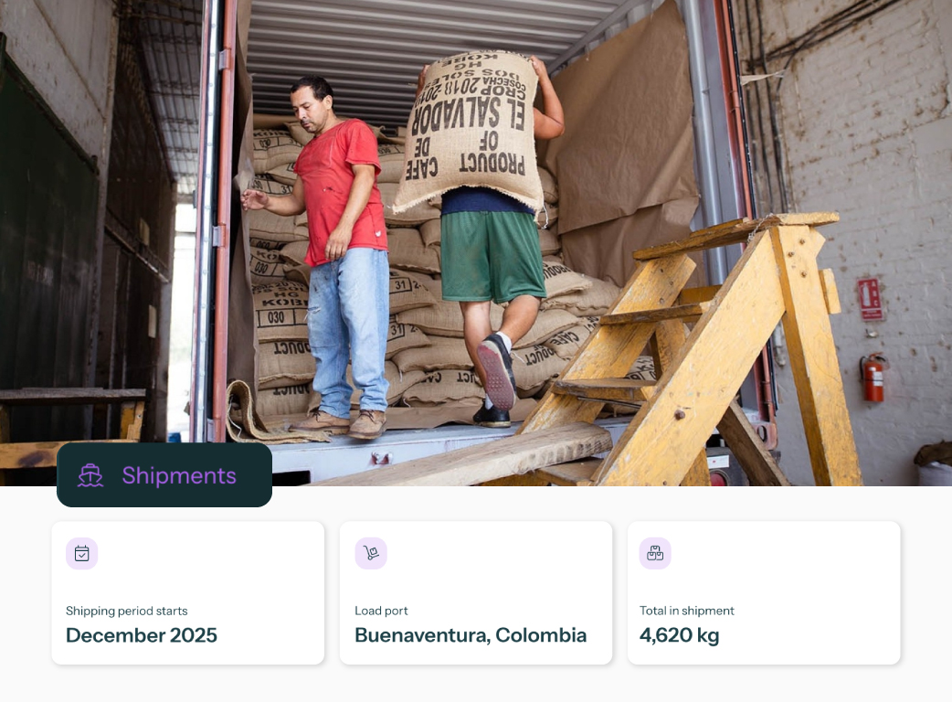 people sitting on chairs