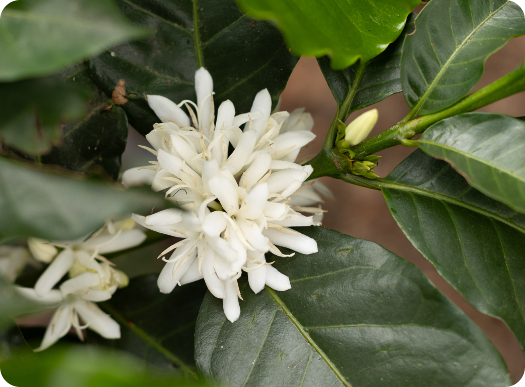 people sitting on chairs