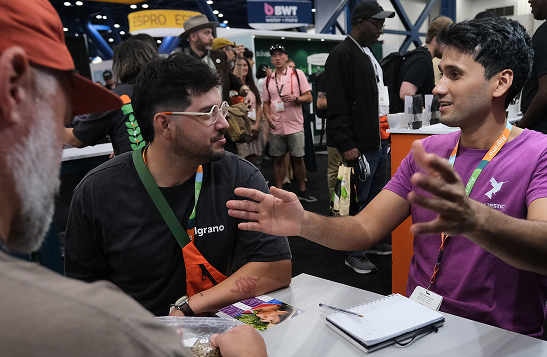 people sitting on chairs