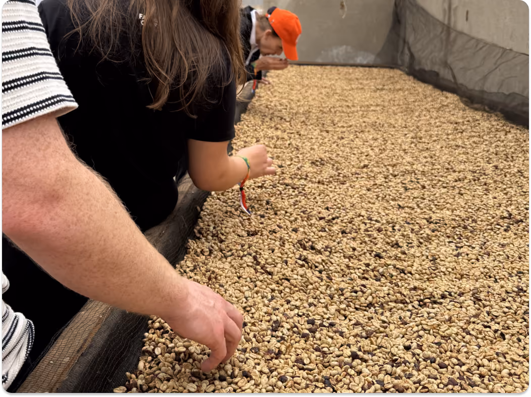 U.S. Roasters: Your Tariff Refund Update