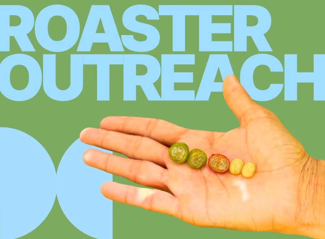 How to keep your green coffee buyers: when to follow up