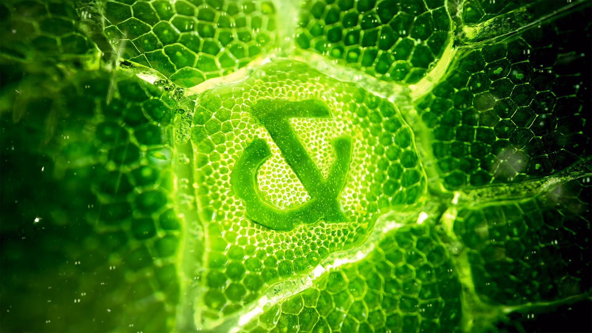 Bulletproof Heroes the Ampersand in Tate & Lyle New Identity 