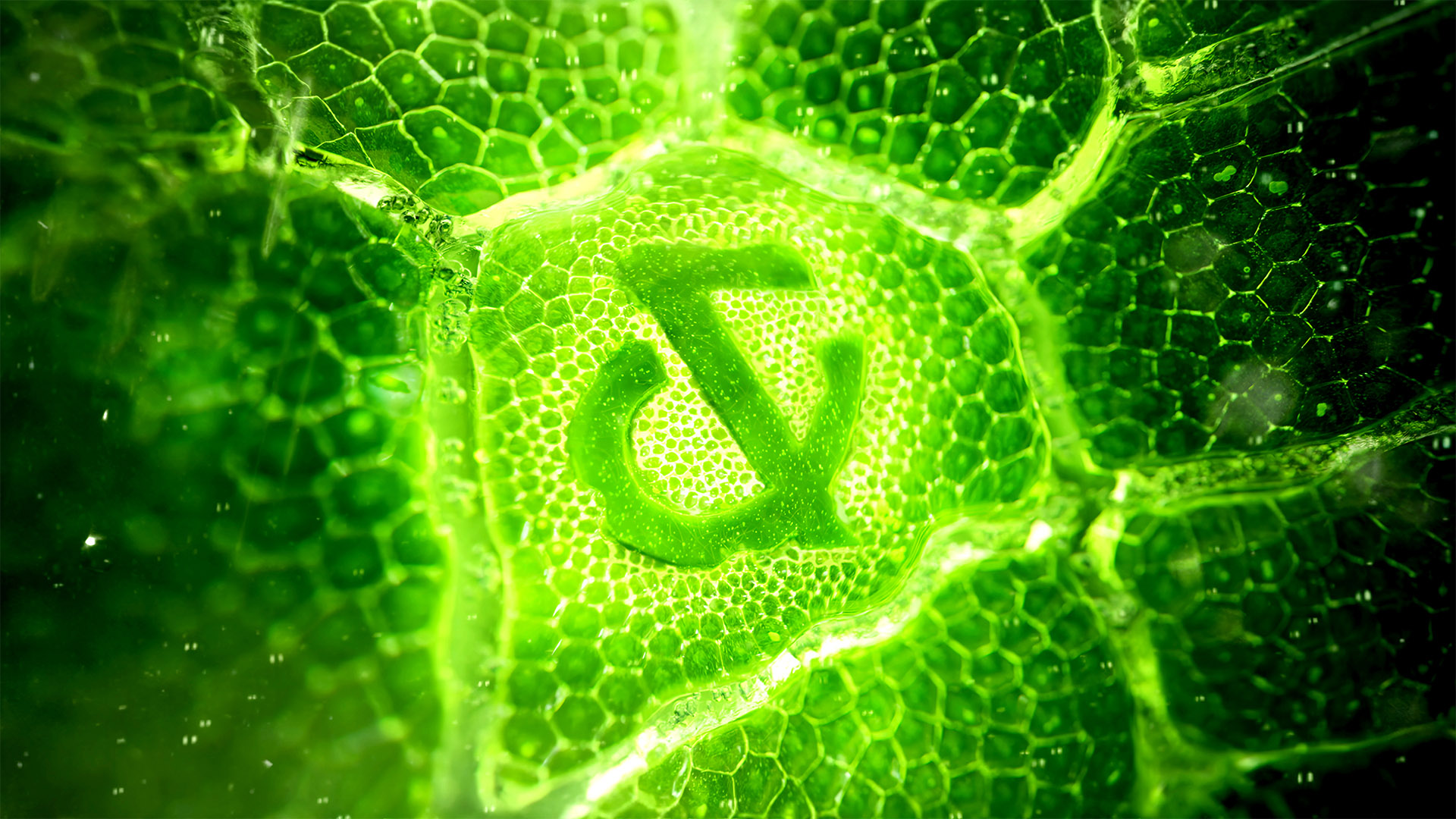 Bulletproof Heroes the Ampersand in Tate & Lyle New Identity