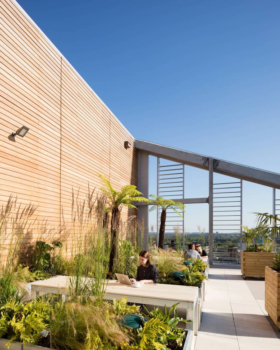 The rooftop in Slough.