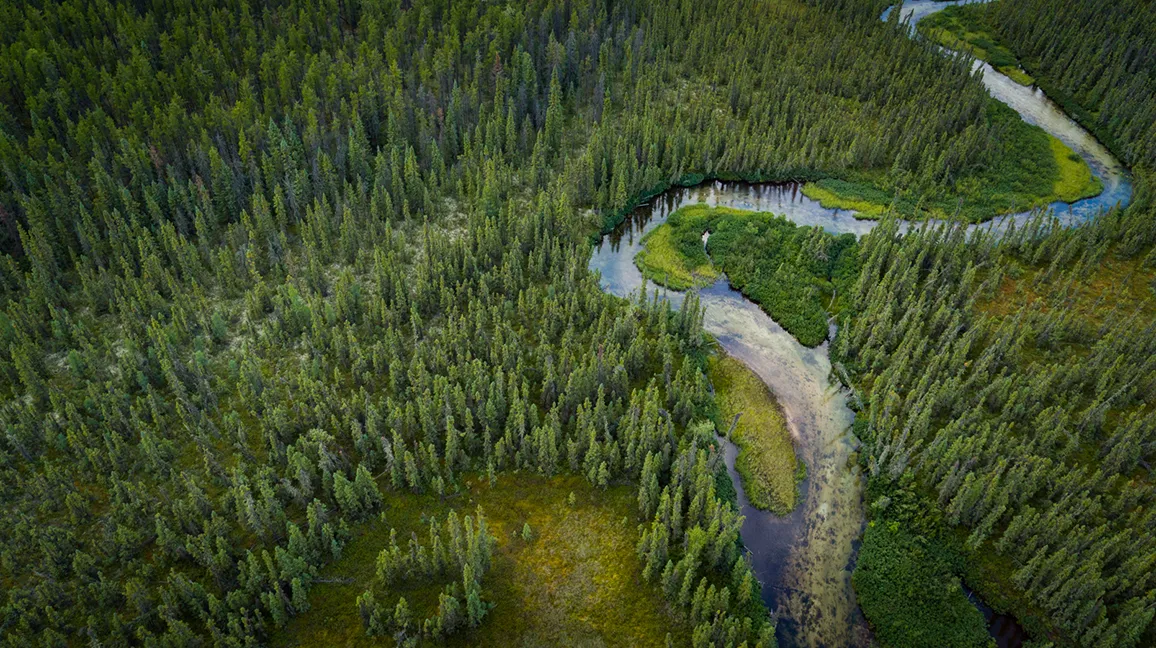 Aerial view of the surrounding landscape