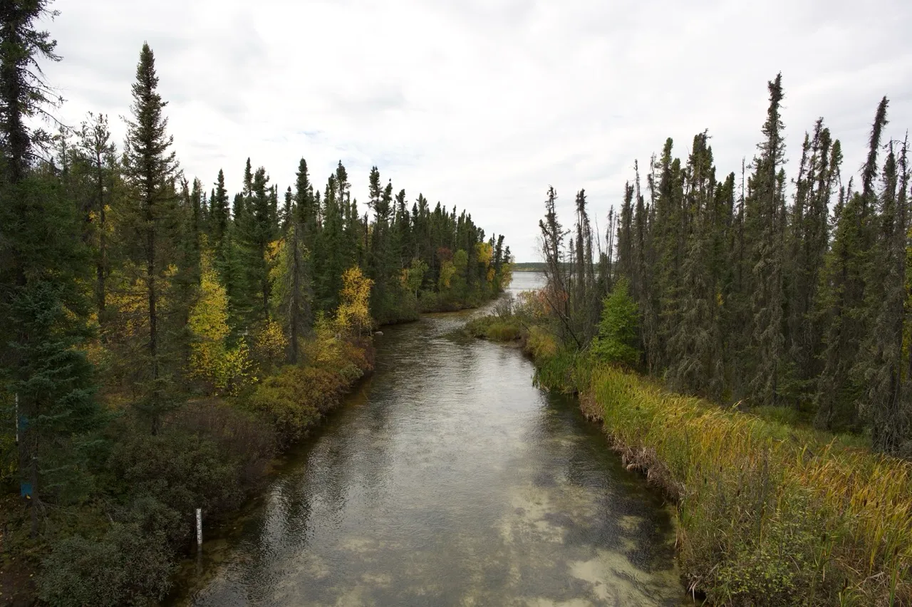 Calm river flowing through a forest with evergreen trees and autumn foliage under a cloudy sky.
