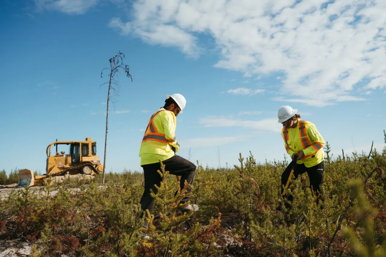 Two workers in safety gear planting trees in a field with a bulldozer in the background.