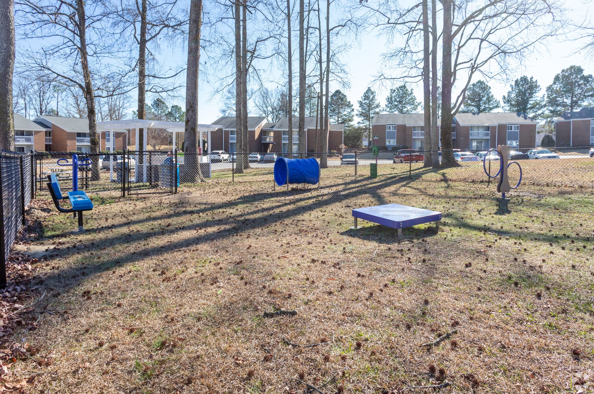 Dog park