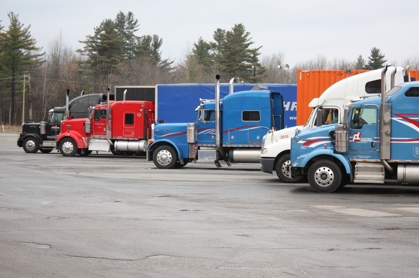 Row of American semi trucks parked in a trucking company lot