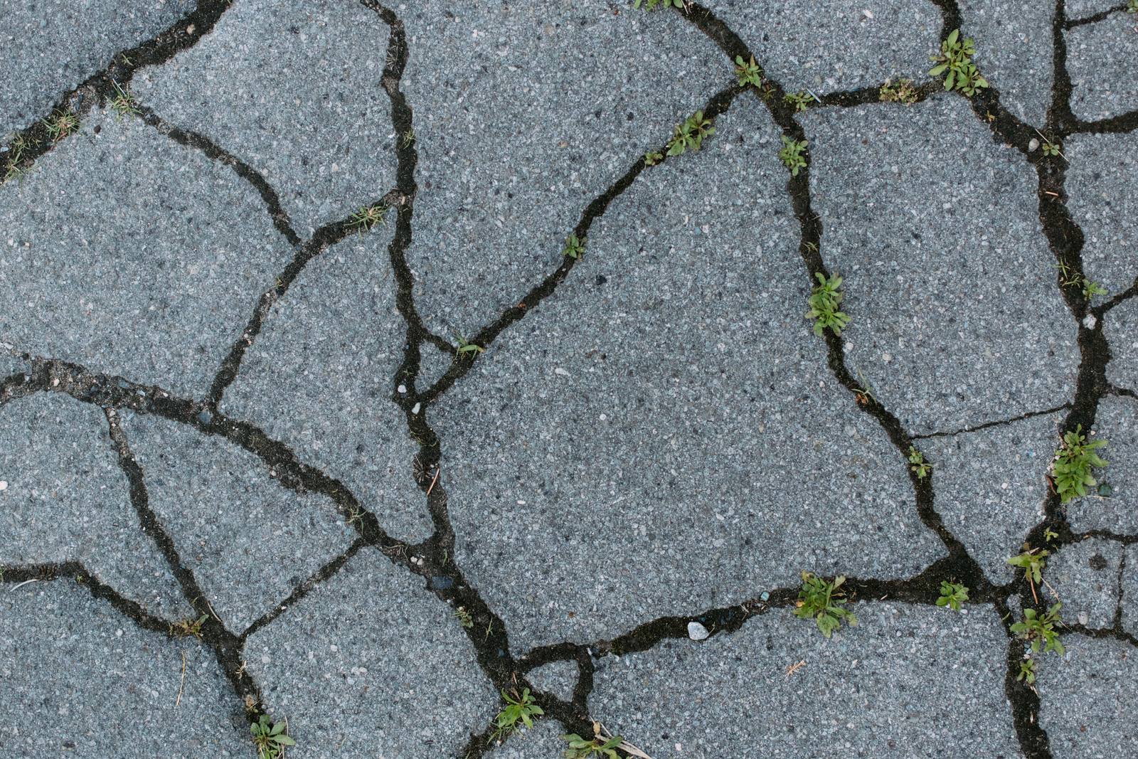 Cracked and uneven walkway pavement creating a trip hazard