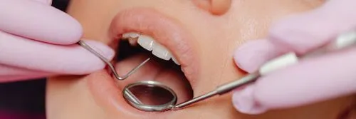 teeth