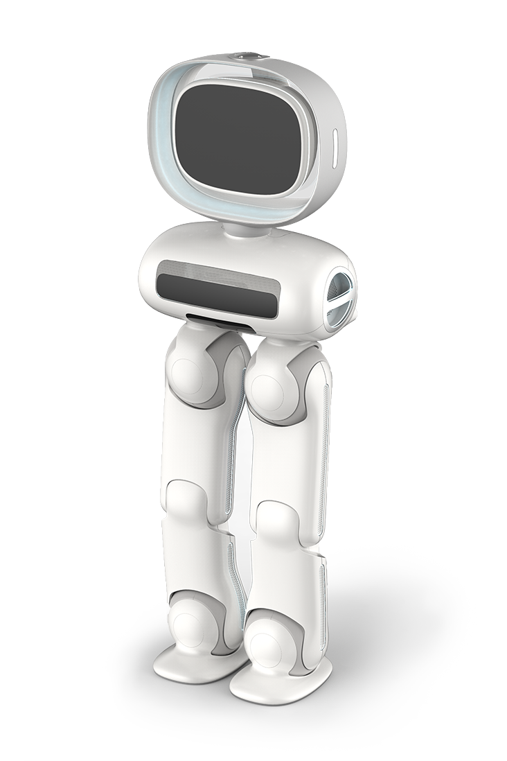 Walker robot prototype development