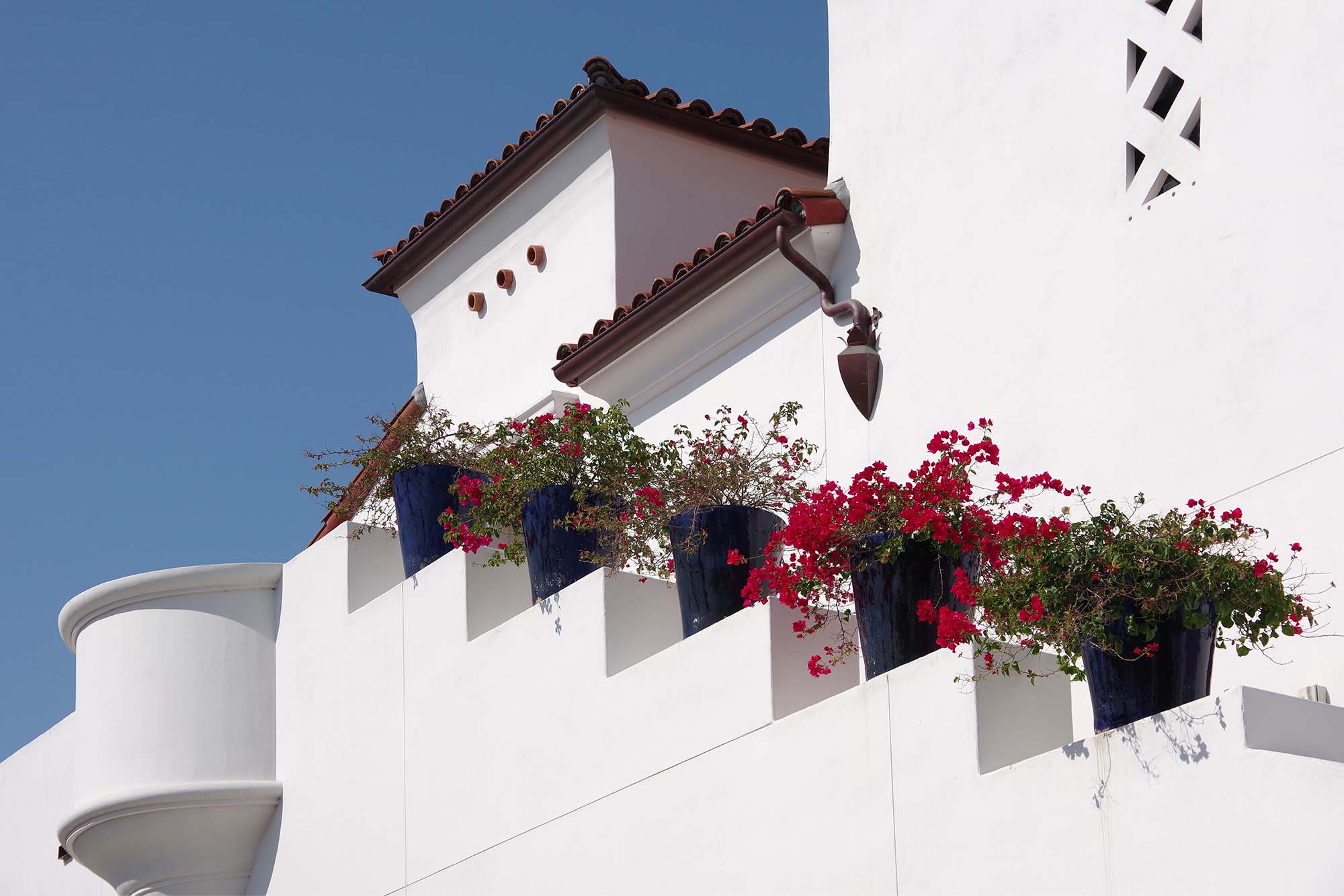 A white building adorned with vibrant red flowers along its side, creating a striking visual contrast.