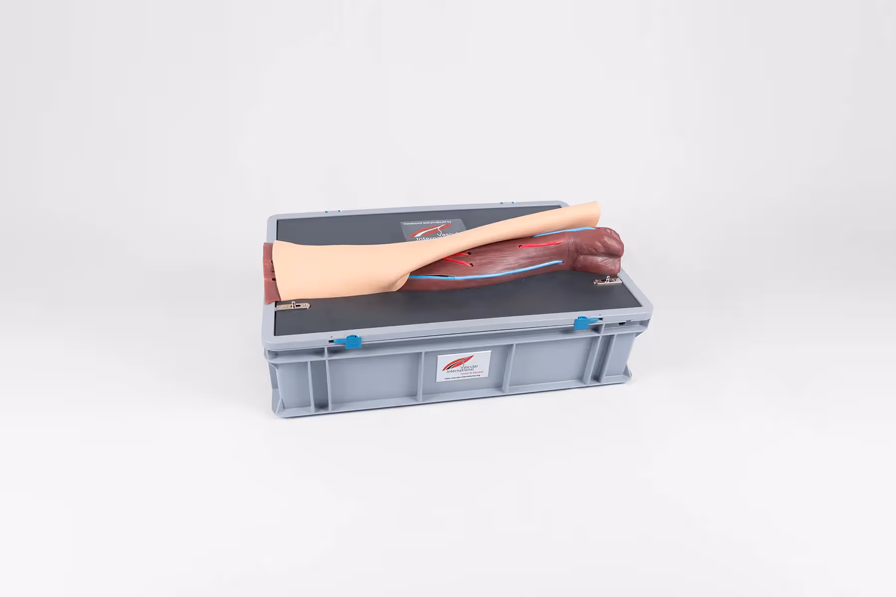 Arm Simulator
