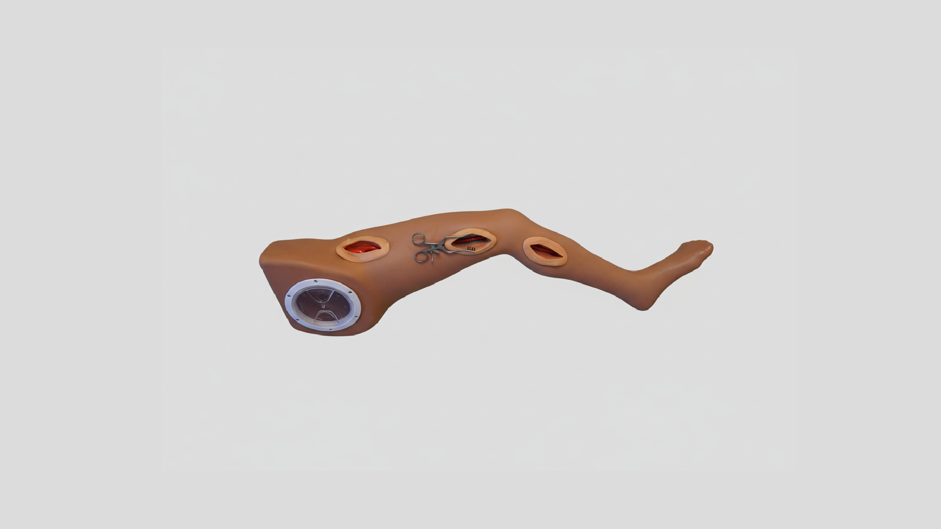 Leg Simulator