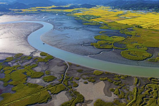L’ouest inconnu de la Corée du Sud de Séoul: Aerial view of Suncheon Bay Wetland Reserve