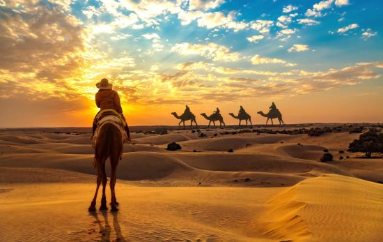 Tout savoir sur les voyages et les vacances en Inde: Thar Desert Camel Caravan