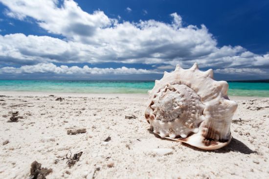 Tout savoir sur les voyages et les vacances aux Philippines: Boracay seashell on tropical beach
