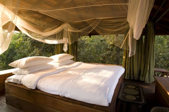Baghvan, A Taj Safari à Pench:  Colonial Bungalow with Machaan | Rooftop Sleeping