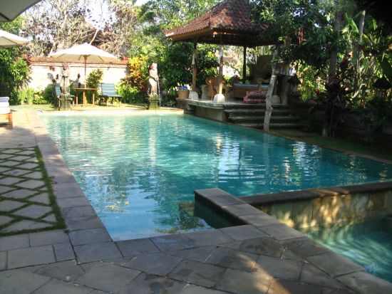 Alam Jiwa à Ubud: Pool