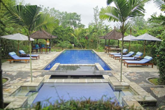 Alam Shanti à Ubud:  Swimming pool