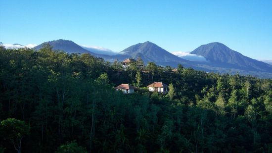 Munduk Moding Plantation Nature Resort à Nord de Bali: location: 