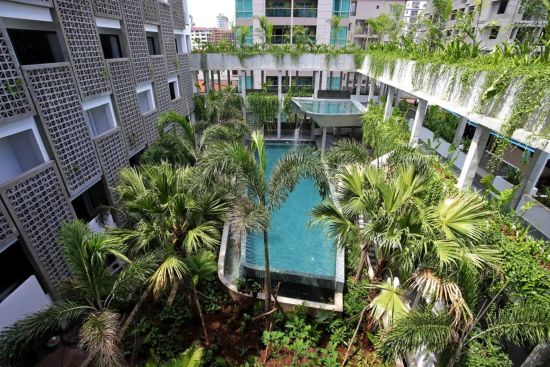 Baitong Hotel & Resort à Phnom Penh:  Forest Pool