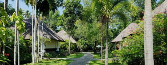Carnoustie Ayurveda & Wellness Resort à Mararikulam:  Mallika Area