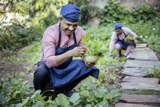 Six Senses Fort Barwara à Jaipur:  Herb Garden Visit with Chef