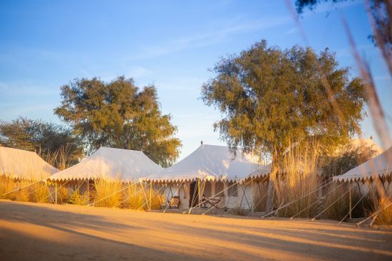 MANVAR Sevan, The Desert Camp in Wüste Thar:  exterior: Tents