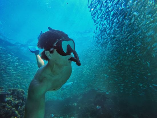 El Nido Resorts Miniloc Island à Palawan:  Snorkeling