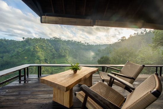 Buahan, a Banyan Tree Escape à Ubud:  The Botanist Bar