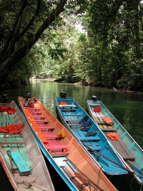 Vie sauvage de Bornéo / Borneo Rainforest Lodge de Kota Kinabalu: Borneo Jungle River