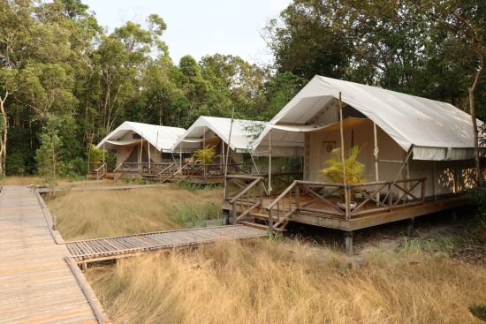 Cardamom Tented Camp - Entdeckertour ab Phnom Penh: room: Cardamom Tented Camp | Tents