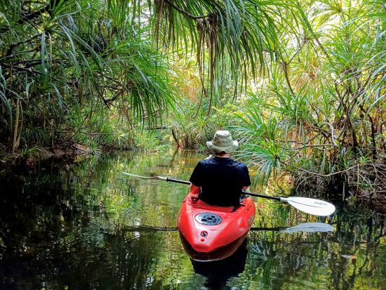 Cardamom Tented Camp - Entdeckertour ab Phnom Penh: activities: Cardamom Tented Camp | Kajak