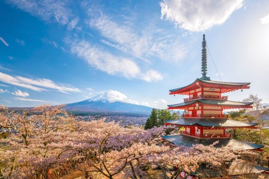 Circuit en groupe «Découverte active du nord du Japon» de Memanbetsu: Mt. Fuji - Red Pagoda during Sakura season