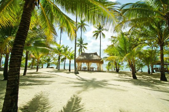 Coco Grove Beach Resort à Siquijor: Beach Side Nipa Hut