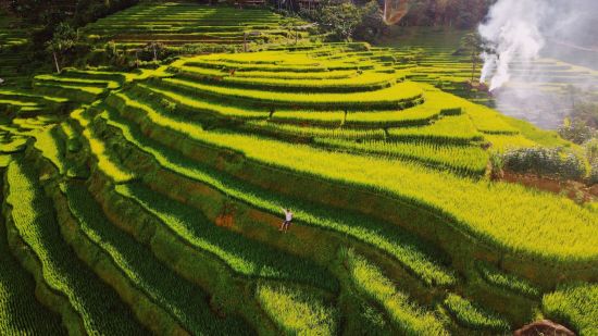 Impressions du nord du Vietnam & croisière dans la baie de Halong de Hanoi: Pu Luong rice fields
